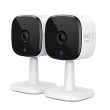 Load image into Gallery viewer, Indoor Cam C120