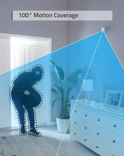Load image into Gallery viewer, Motion Sensor
